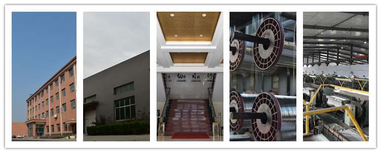 High Quality Brass Perforated Coil Screen Mesh, Round Hole Perforated Metal Sieve Coil From China