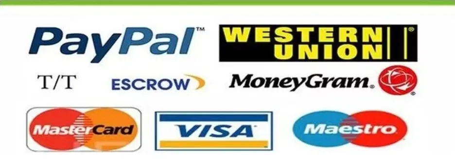 Accepted Payment Methods Support