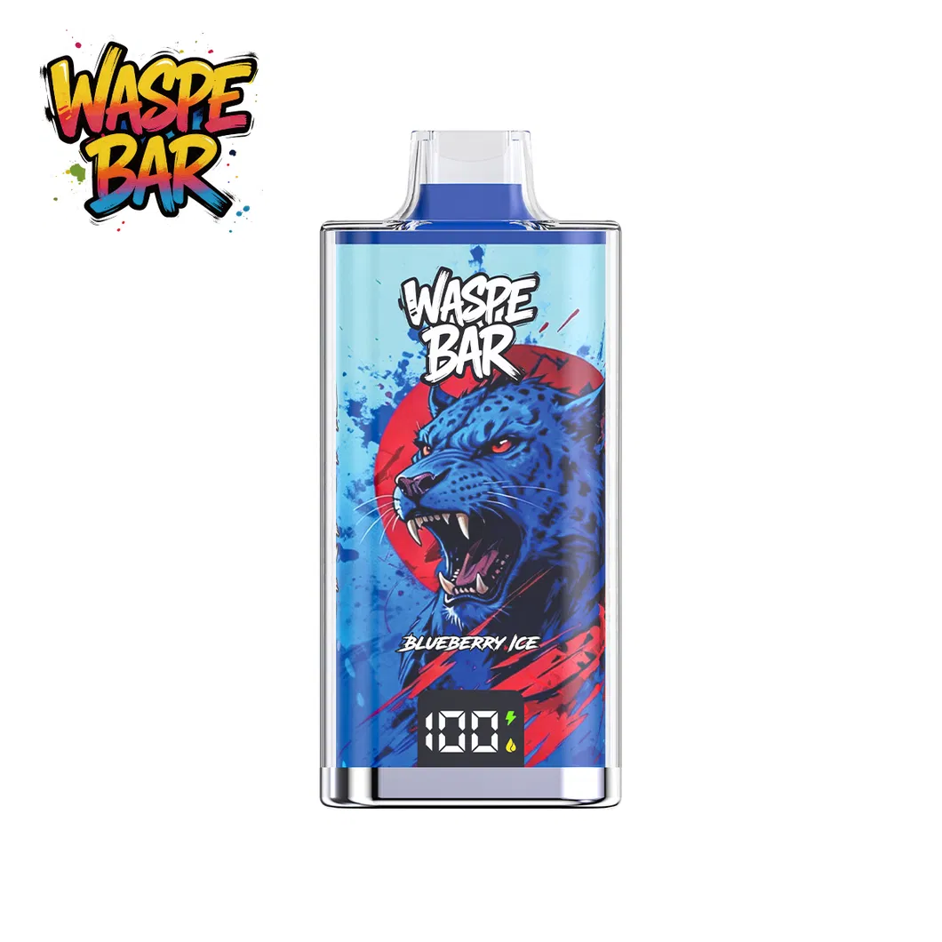 Free Nicotine Disposable E Puff Electric Vape Nicotine Salt Vape Pod 60K Puffs