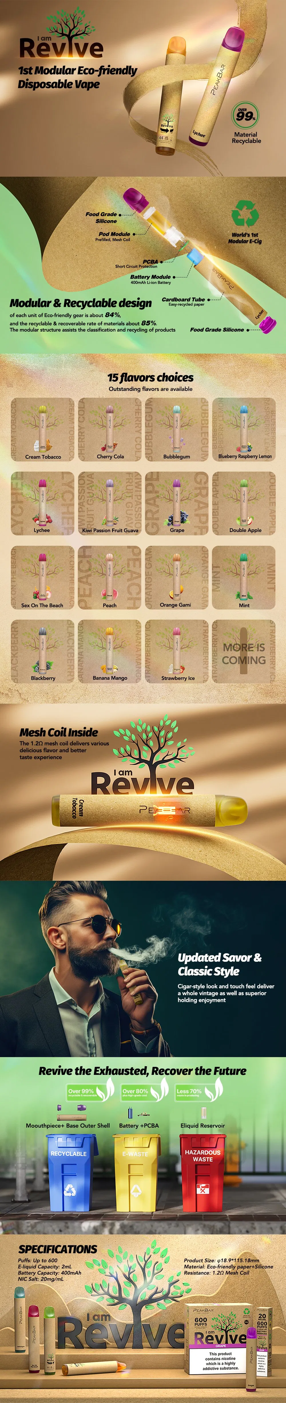 Eco-Friendly Recyclable Disposable Vape with 400mAh Battery Capacity