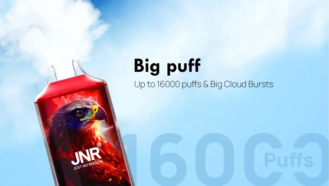 Wholesale Jnr Falcon 16000 Puffs Disposable Pod Dual Mesh Coil Puffs Puff Bar Vaper Empty Vapes Wape Disposable Vape