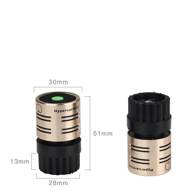 Microphone capsule core detail diagram