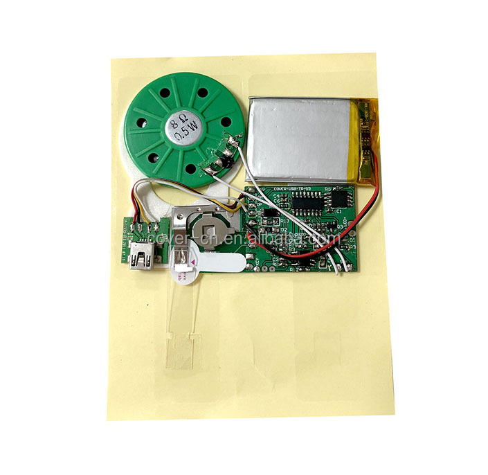 Push Button Activated Sound Module with Speaker Easy Recording Minutes for Personalized Greetings, DIY Projects