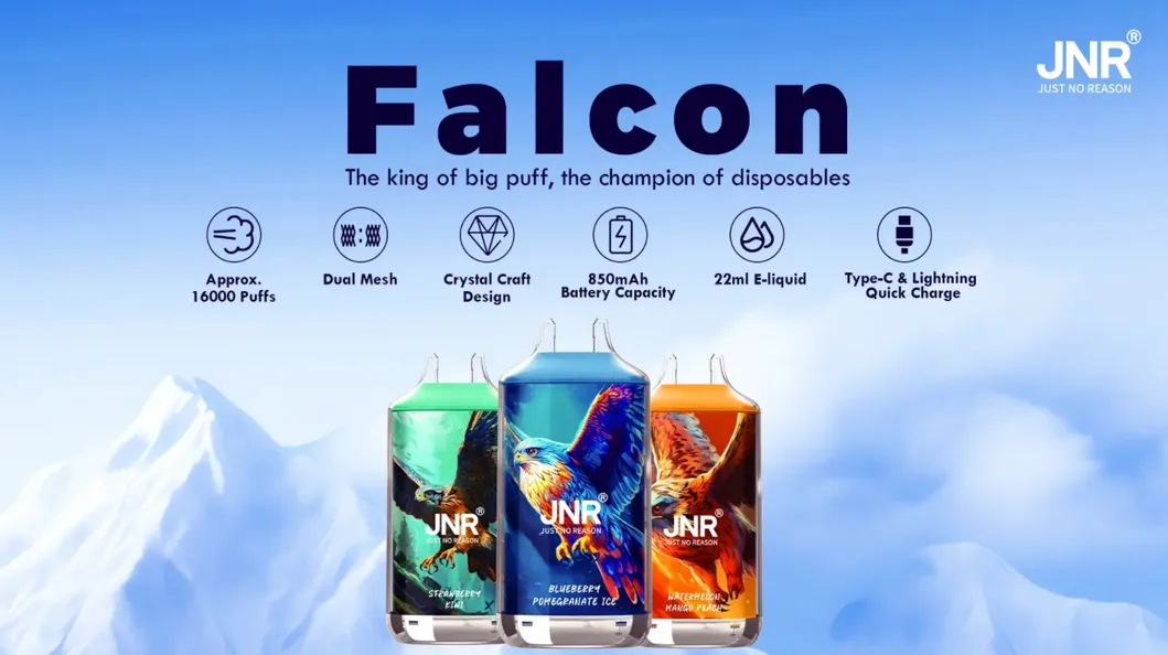 Wholesale Jnr Falcon 16000 Puffs Disposable Pod Dual Mesh Coil Puffs Puff Bar Vaper Empty Vapes Wape Disposable Vape