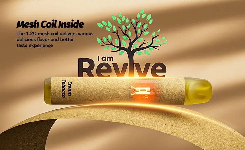 New Eco Friendly Paper Bar Healthy Pollution-Free 600 Puffs Disposable Vape