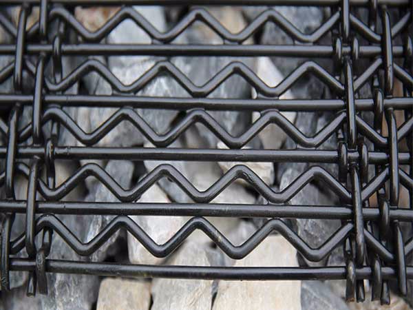 D Mesh Detailed View
