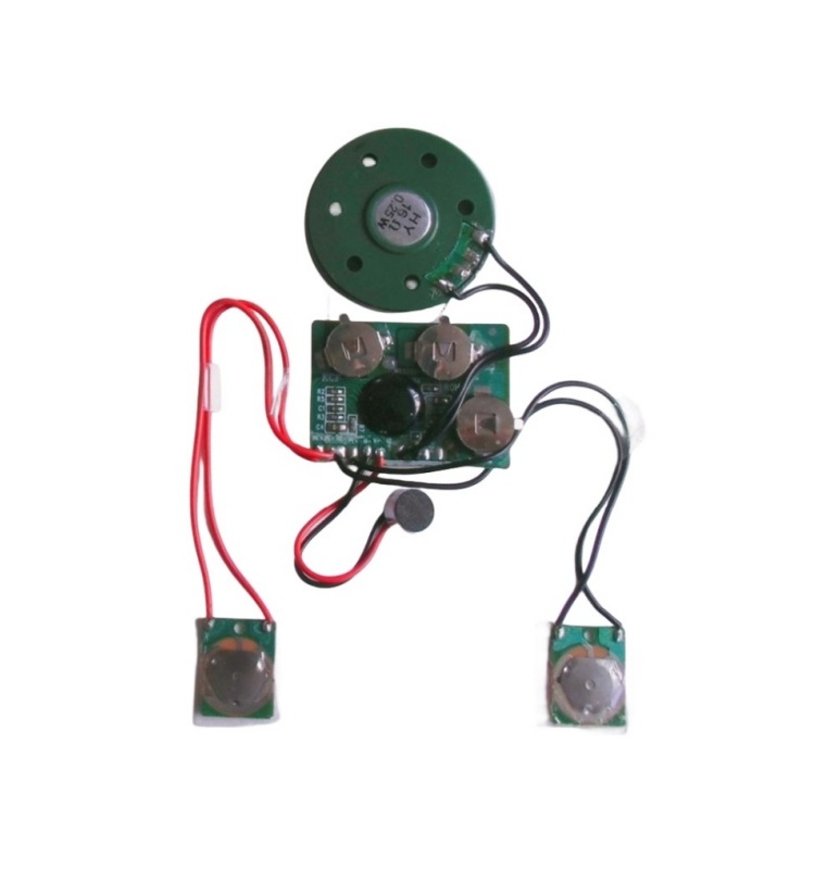 Customized squeezed sound module product view 3