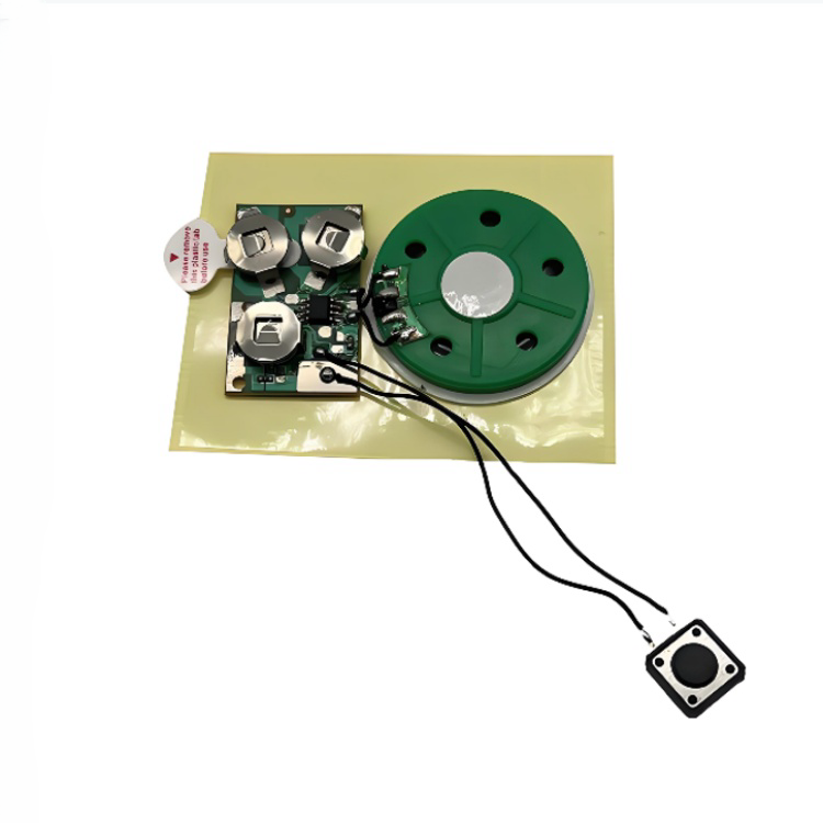 Customized squeezed sound module product view 1
