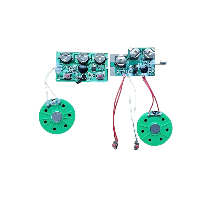 Customized squeezed sound module with push button activated music chip for musical gift