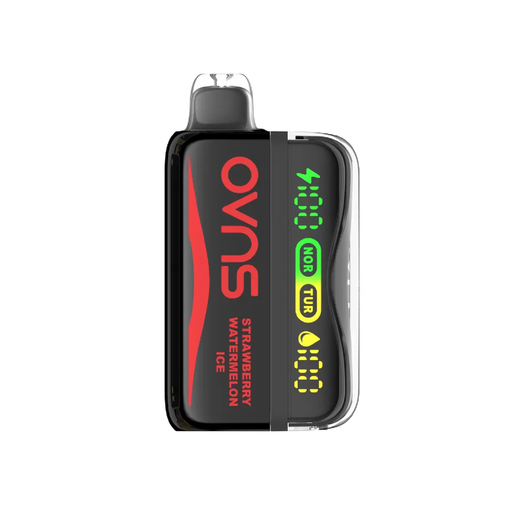 Modular Design Prefilled Vape