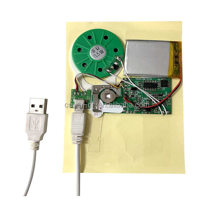 Push Button Activated Sound Module with Speaker Easy Recording Minutes for Personalized Greetings, DIY Projects