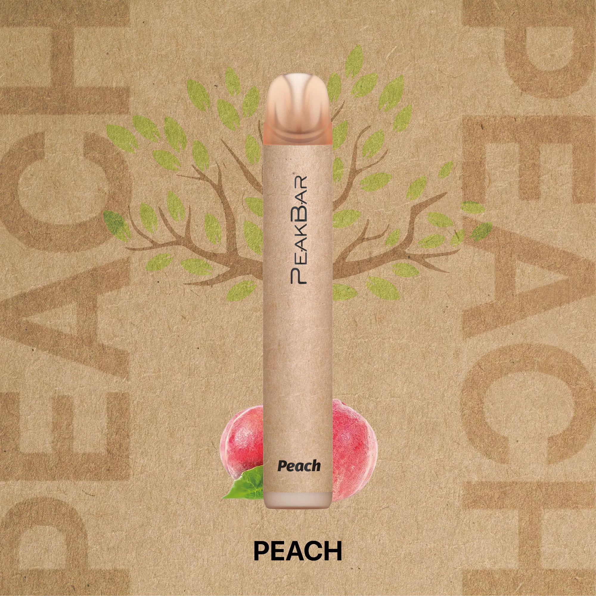 Eco-Friendly Recyclable Disposable Vape with 400mAh Battery Capacity