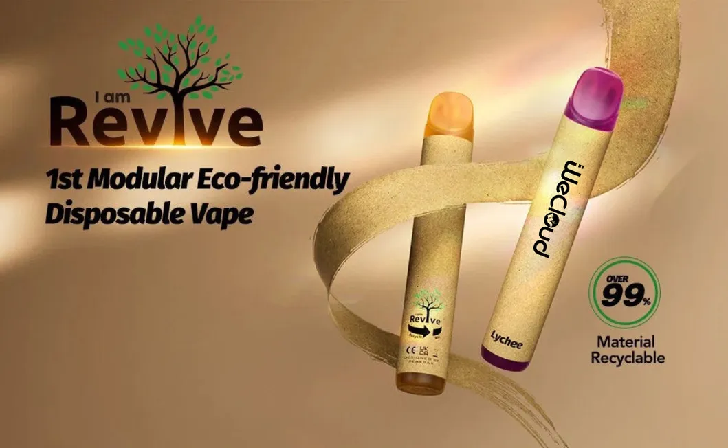 New Eco Friendly Paper Bar Healthy Pollution-Free 600 Puffs Disposable Vape