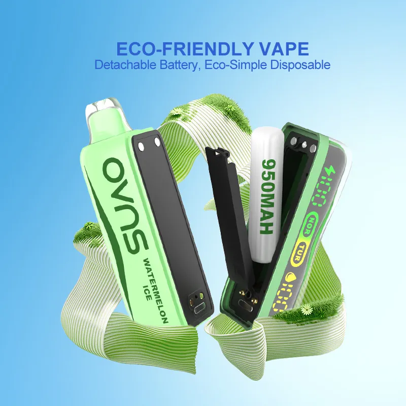 Factory Rechargeable Puff Geek 30000 Puff 0% 2% 5% Nicotine Vape Pocket Hookah Replaceable Pod System