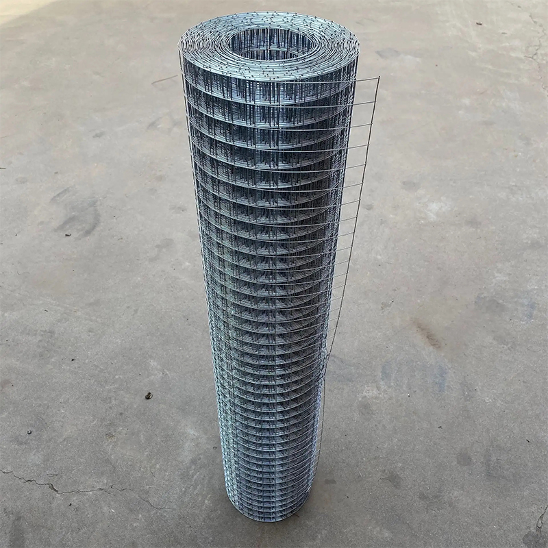 Industrial Galvanized Wire Mesh for Building Reinforcement and Protective Enclosure Systems