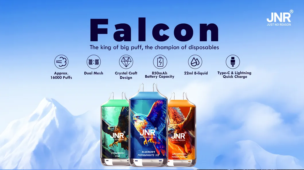 Jnr Eco-Friendly Packaging Available in Various Nicotine Levels Falcon Disposable Vape