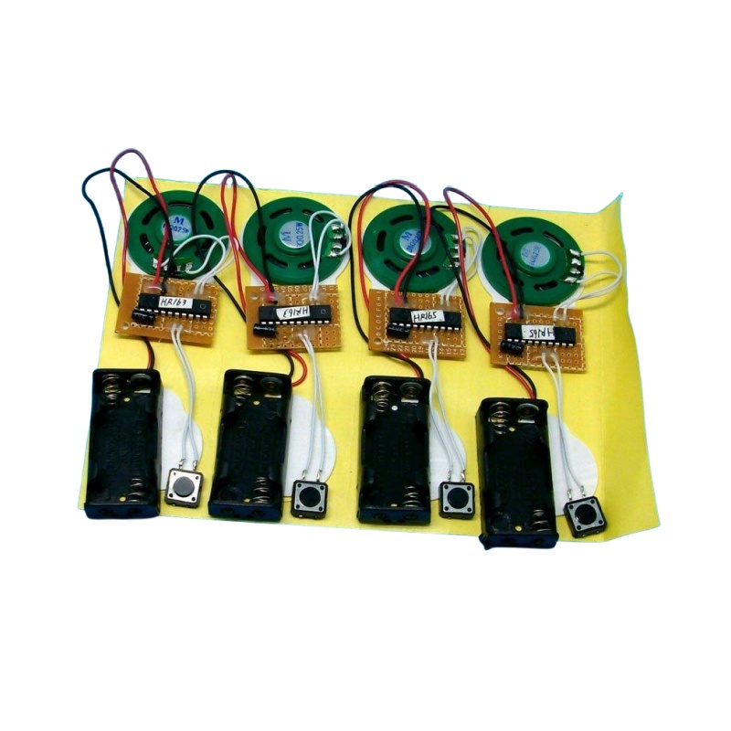 Customized squeezed sound module with push button activated music chip for musical gift