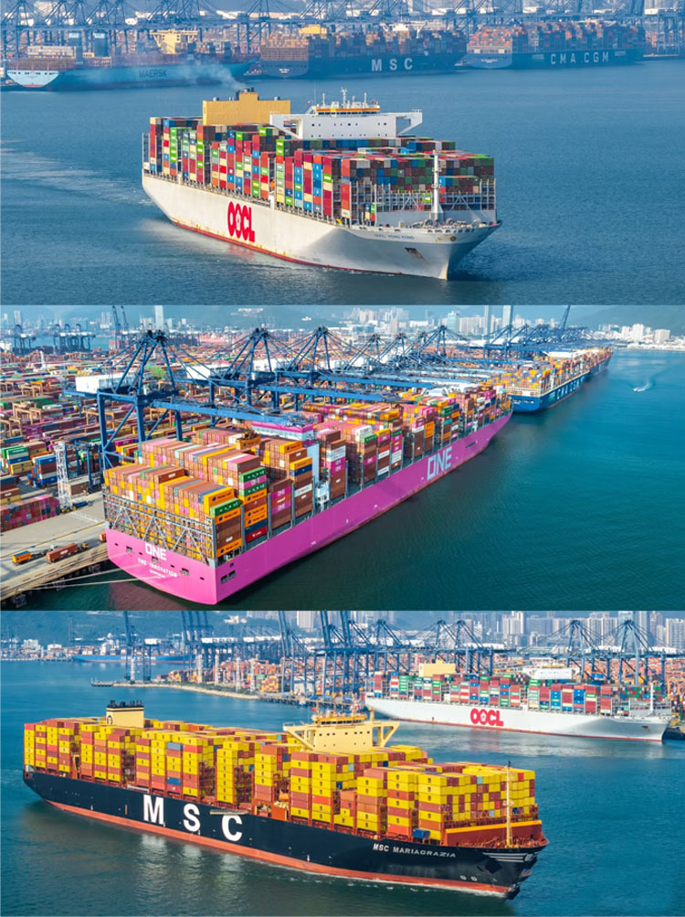 Global Delivery Logistics