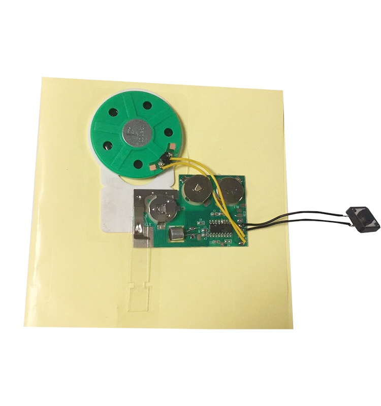 Customized squeezed sound module product view 2