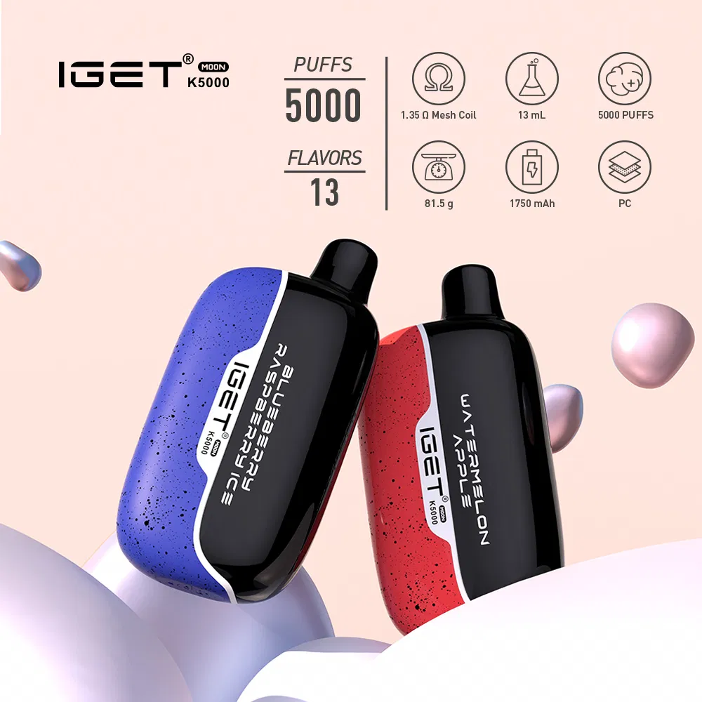 Nicotine Salts E Cigarette Top Sell Iget Moon 5000 Puffs EU Shipping Free Disposable 5K Puff Vape