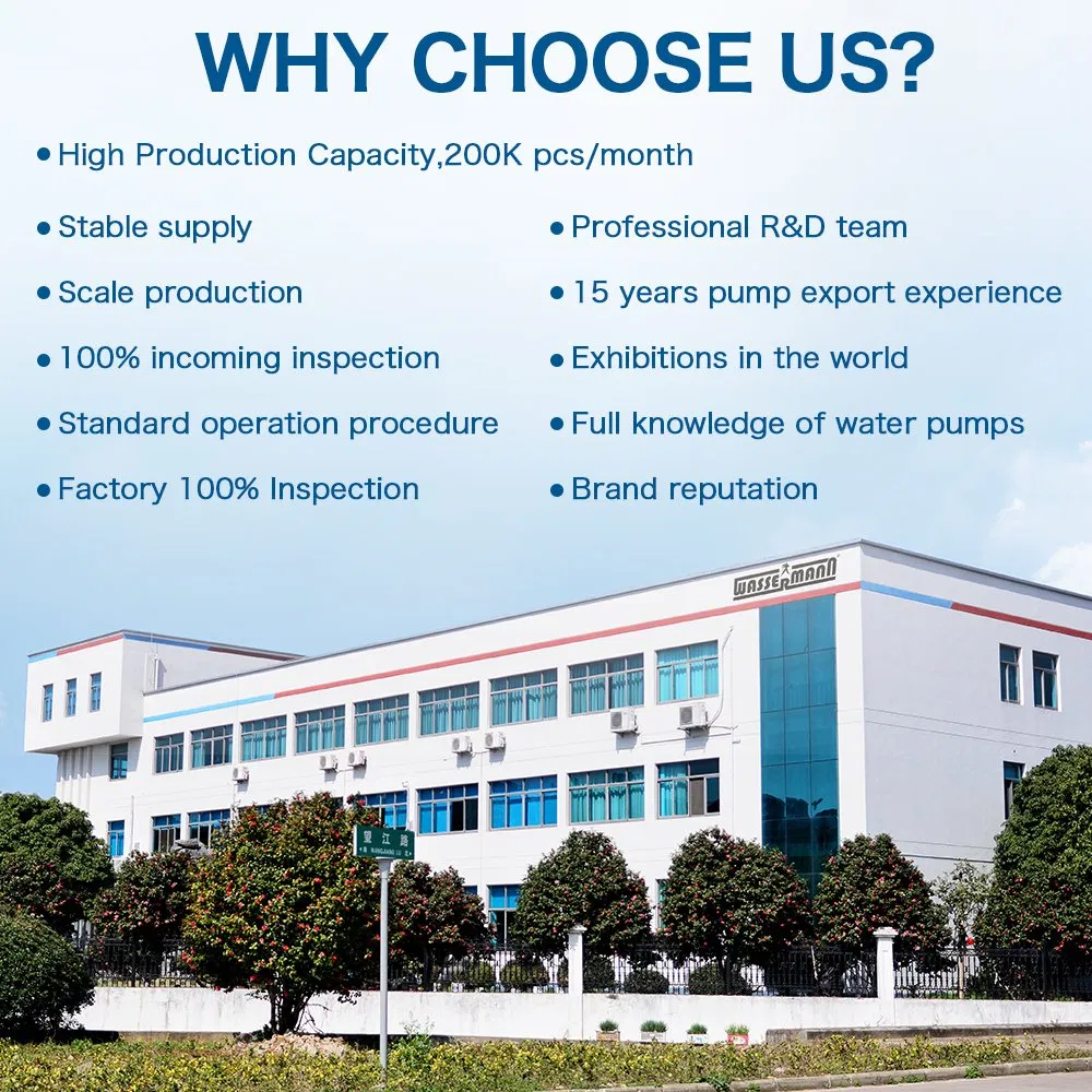 Competitive Price Portable Garden Irrigation Solar Pump with Handle