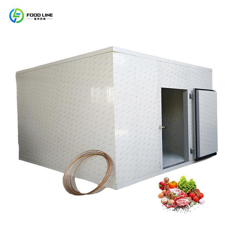 Commercial Fresh-Keeping Fish and Meat Solar Container Cold Storage Room Refrigeration Unit
