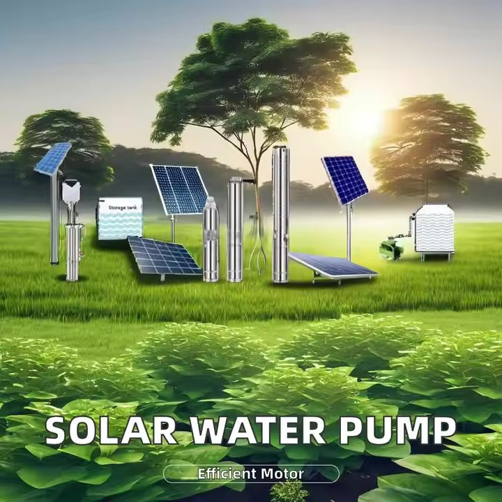 48V DC Solar Water Pump 1HP 1.5HP 2HP HP Submersible Water Pump System for Irrigation Water Treatment