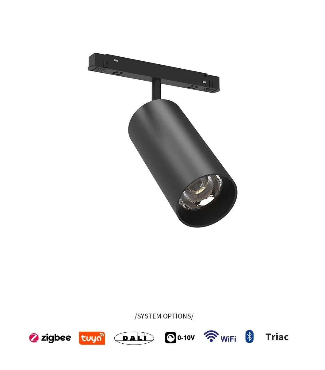 Magnetic Tracklight View 1