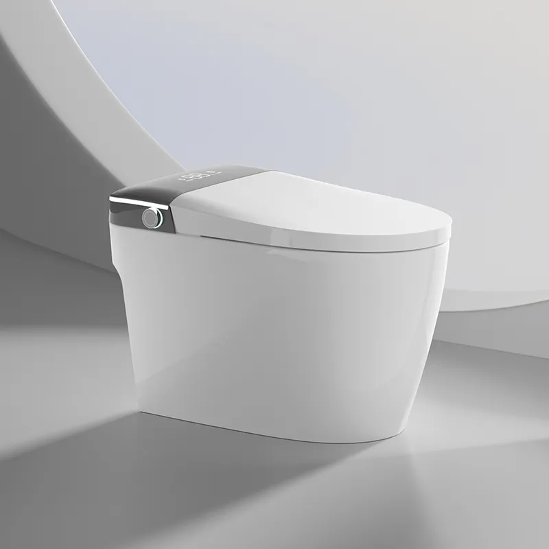 Smart Toilet Details 3