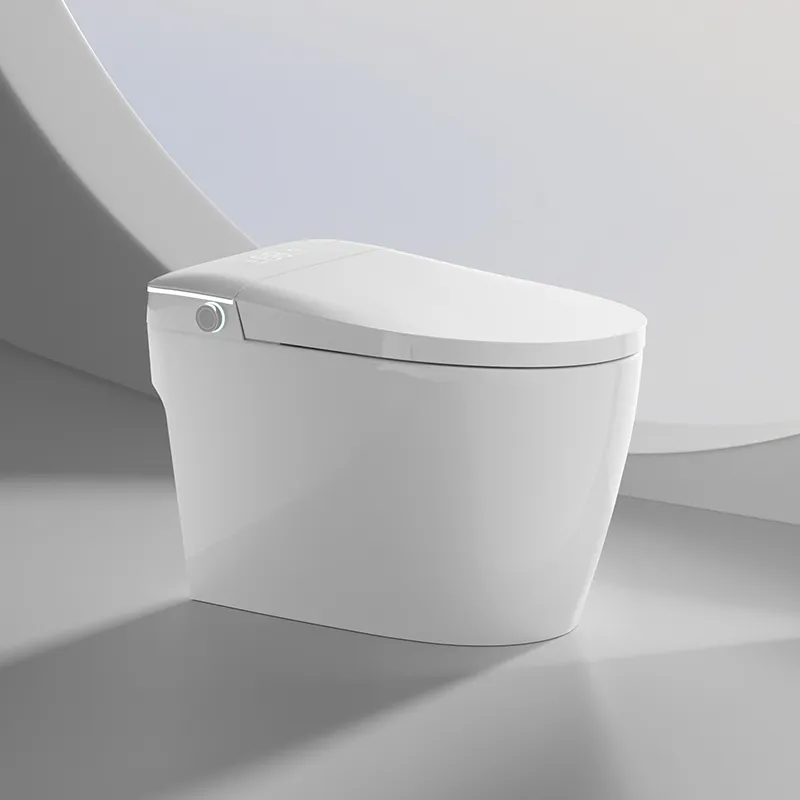 Smart Toilet Details 1