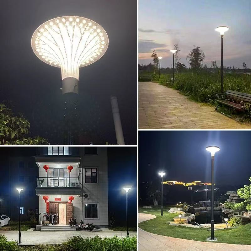 Eco-Friendly Solar Street Lighting Solutions for Urban Environments