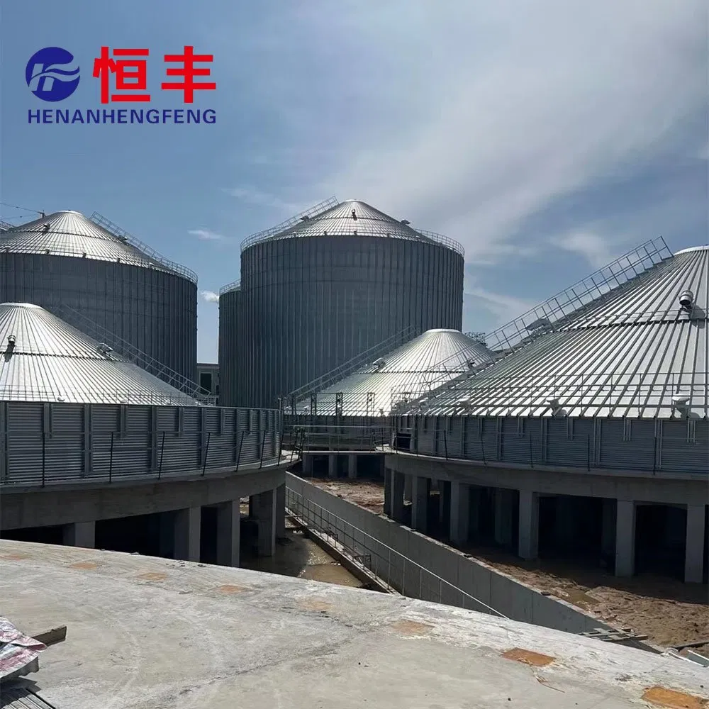 Agricultural Grade Galvanized Grain Silo for Commercial Farm Bulk Crop Storage Needs