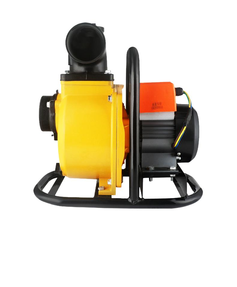 1HP 750W Solar Water Pumps Portable Brushless Motor Surface Water Pump with MPPT Controller