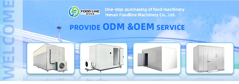 Solar Container Cold Storage Room