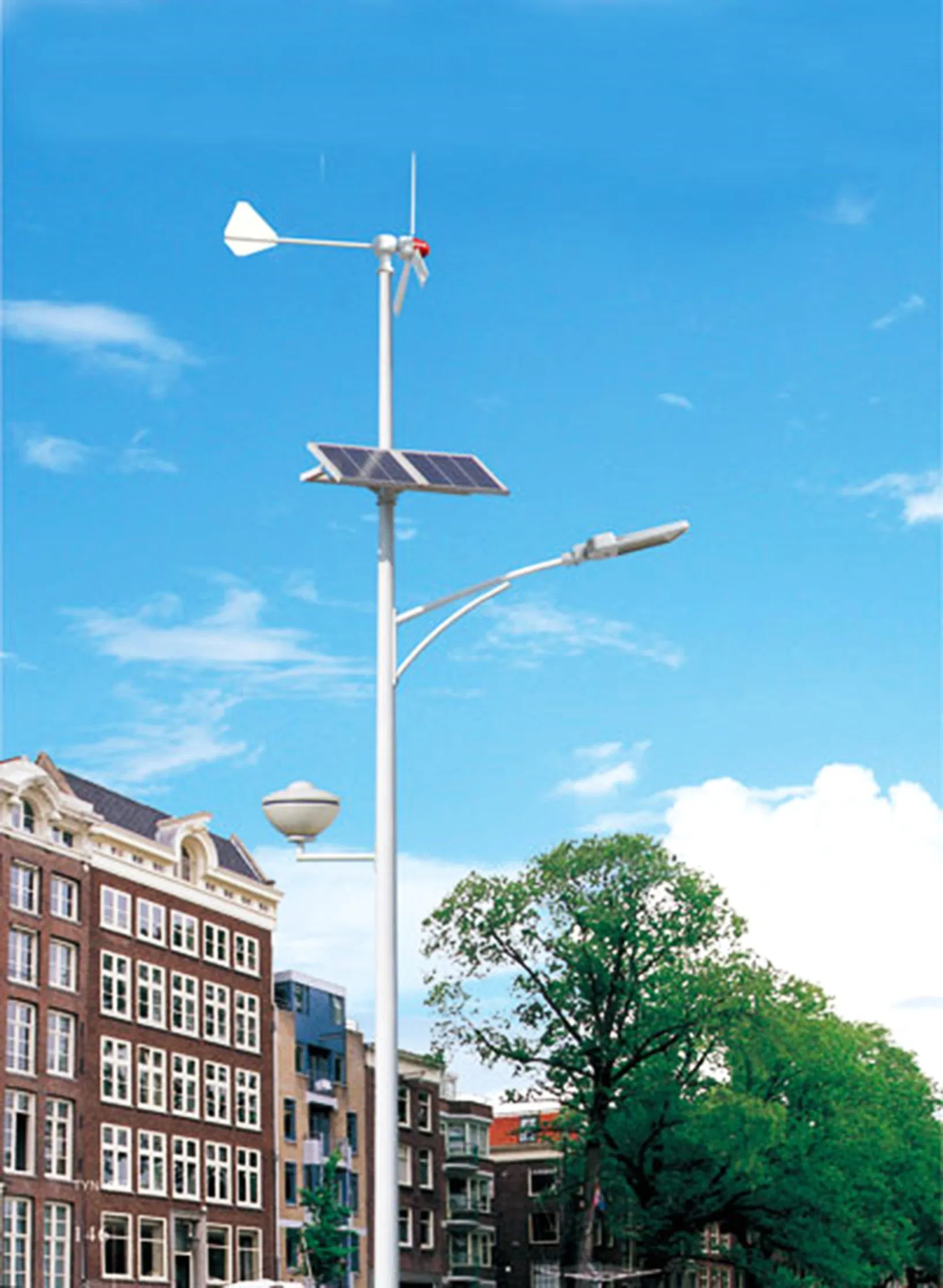 Eco-Friendly Wind Solar Hybrid Street Light with Hassle-Free Installation