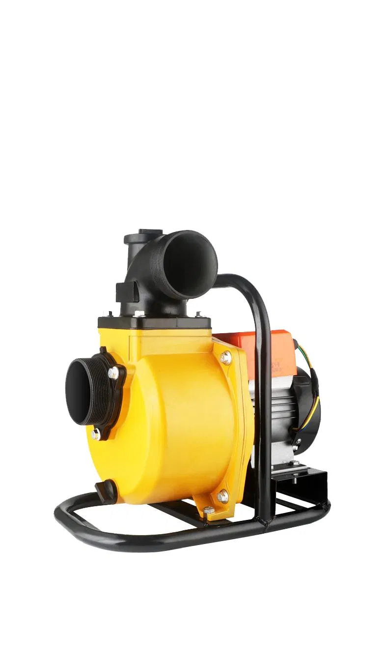 1HP 750W Solar Water Pumps Portable Brushless Motor Surface Water Pump with MPPT Controller