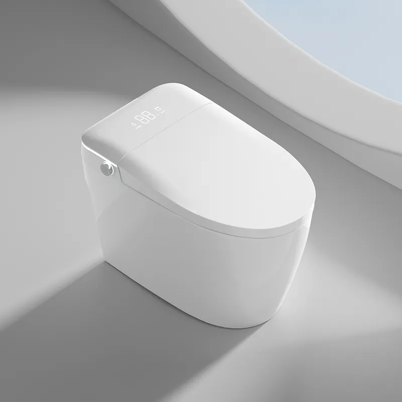 Smart Toilet View 1