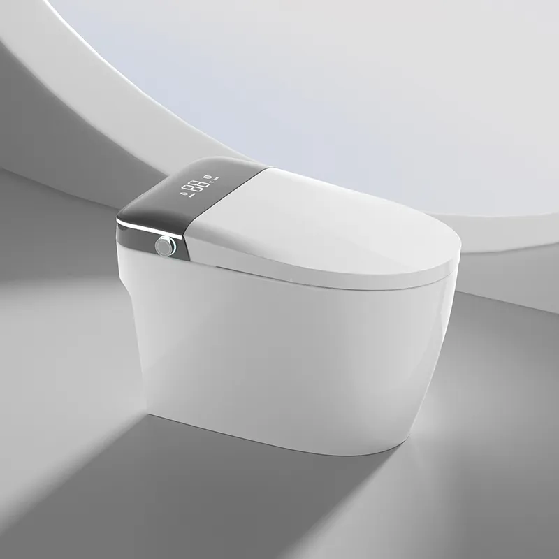 Smart Toilet Details 2