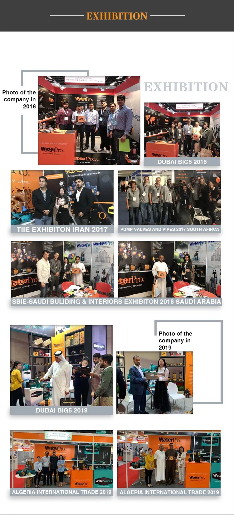 Portable DC 12 to 48V Household Garden Mini Solar Submersible Water Irrigation Pump Electric Twater Pump