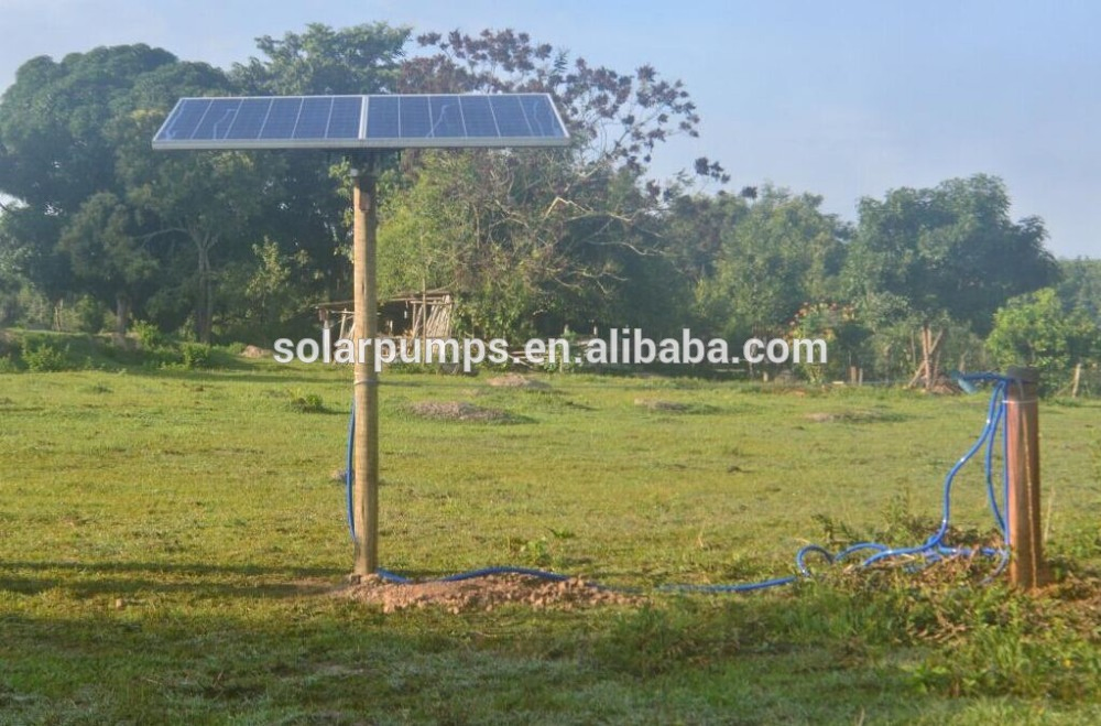 Solar Water Pump Controller for Agriculture