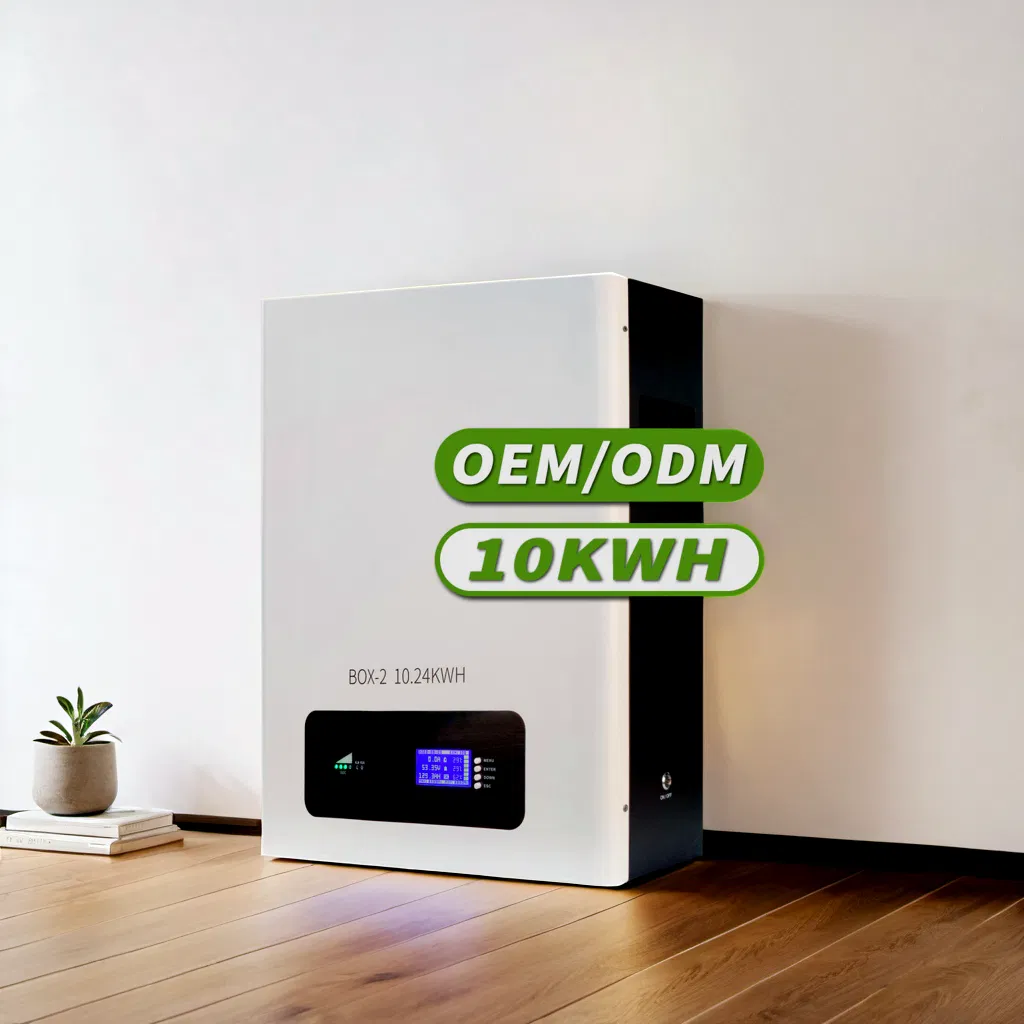 48V 100ah 200ah Custom Lithium Li-ion Battery Pack Solar Home Energy Storage System 5kwh 10kwh LiFePO4 Wall-Mounted with Smart BMS Monitoring