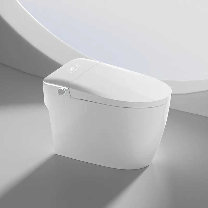 Smart Toilet View 2