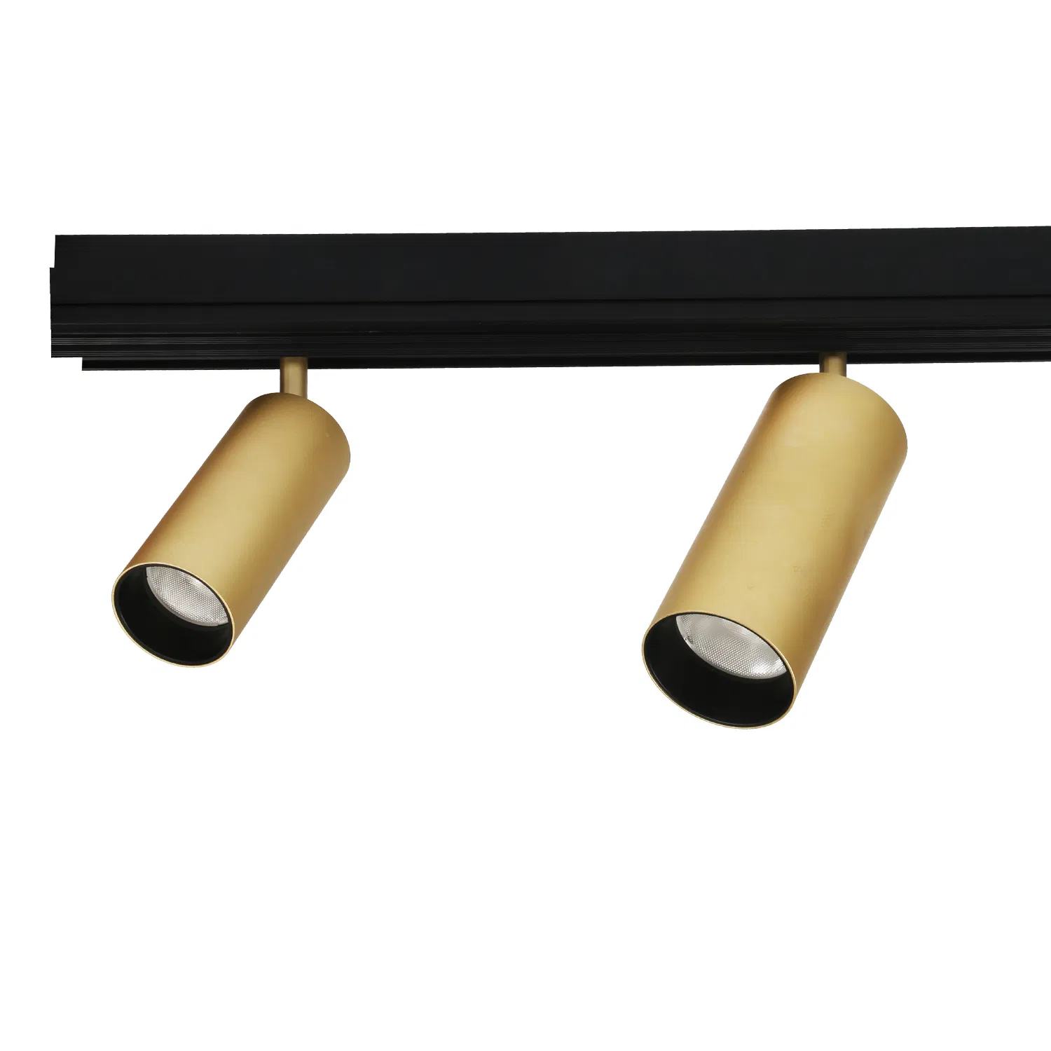 C20s020 Tuya Bluetooth Dali COB LED Spotlight Smart Magnetic Tracklight