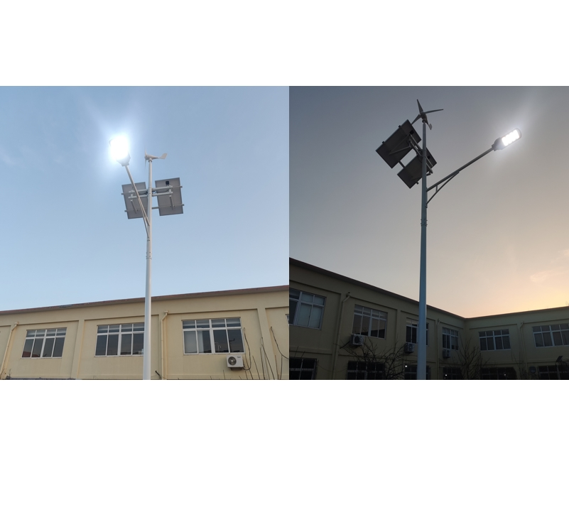Eco-Friendly Wind Solar Hybrid Street Light with Hassle-Free Installation
