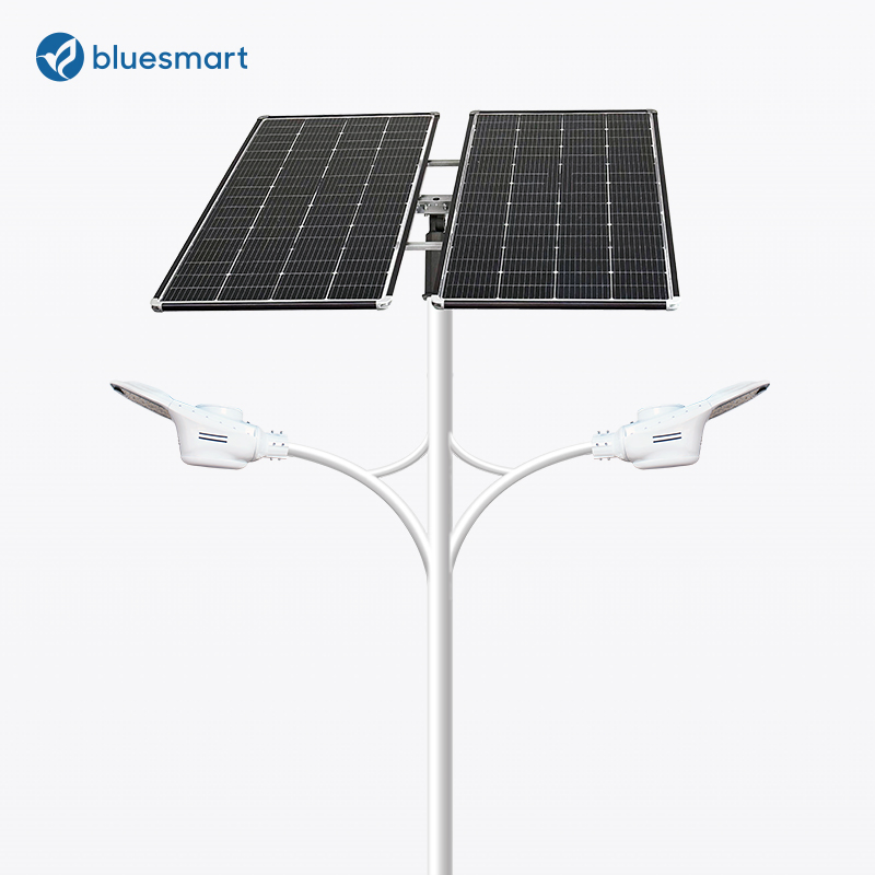 China Solar LED Lighting Outdoor Roadway Garden Light with Motion Sensor Control System