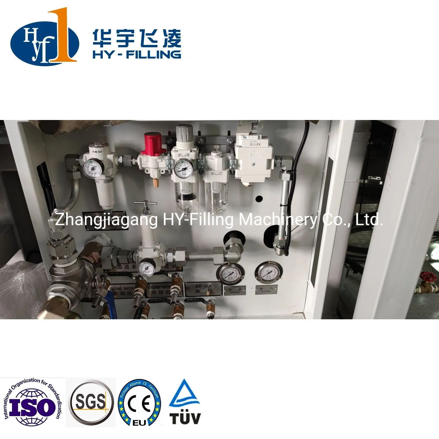 Liquid Multi-Head Hy-Filling Bottles Pet Package Plastic Blowing Machine Blowing Blower Molding System