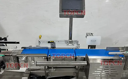 Weighing Scale Detail