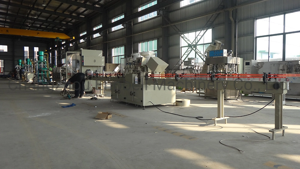 Automatic Anti-Corrosive PP Piston Bottle Liquid Water Beverage Bottling Packing Filling Machine