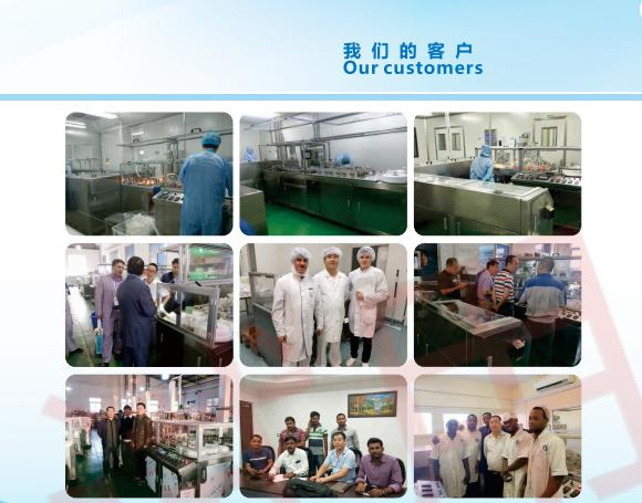 Automatic Pharmaceutical Suppository Filling &amp; Sealing Production Line Suppository Liquid Filling Machine