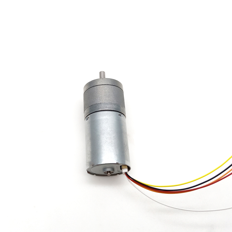 25mm 12v 24v Micro Brushless Gear Dc Motor Used in Medial Products